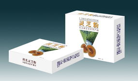 东莞号悦广告 一站式综合广告设计服务专家