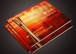 东莞产品目录印卢总 专业广告设计，打造卓越商业形象